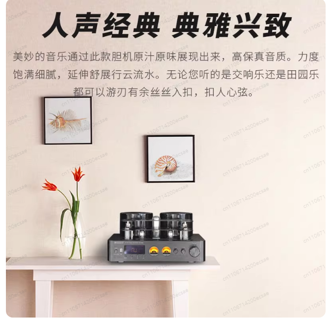 220V 400W * 2 High Fidelity Wi - Audio Music In Youtube のレビューと価格