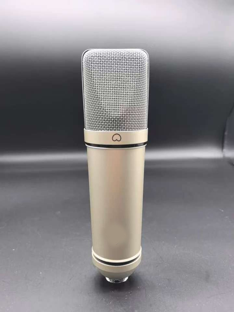 DIYU87 professional recording  - Audio Music In Youtube のレビューと価格