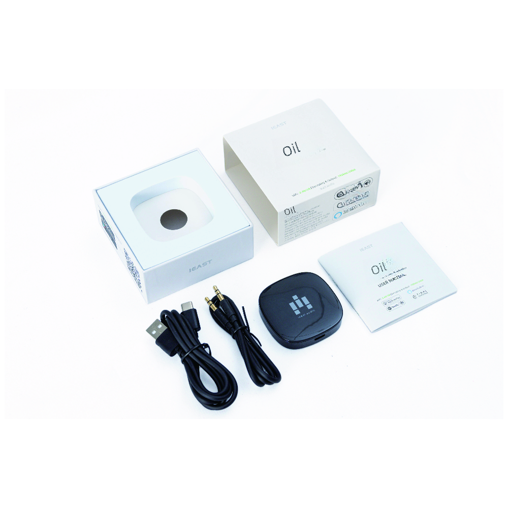 Olio-AirPlay2 Wireless WiFi Bl - Audio Music Google のレビューと価格