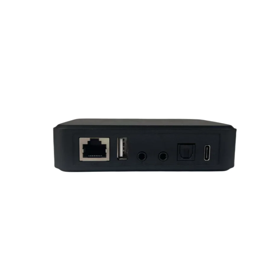 Arylic LP10 Wireless Music Str - Audio Music Google のレビューと価格