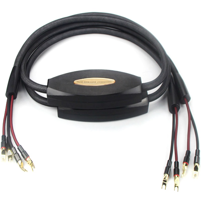 transparent musicwave ultra au - Audio Music Wave のレビューと価格