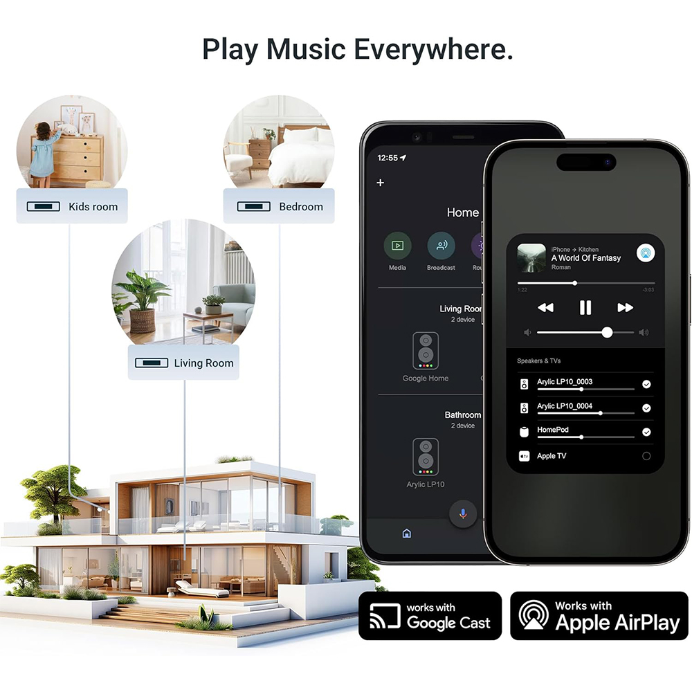 Arylic LP10 Wireless Music Str - Audio Music Google のレビューと価格